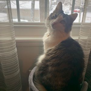 Meet your Posher, Kris